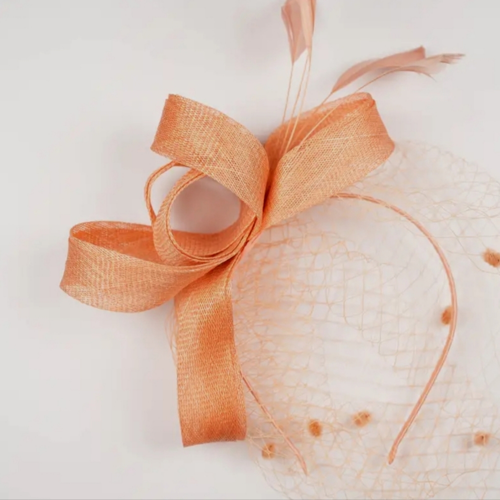 Elegant Coral Lace Veil Dotted Fascinator Feathers Ribbon Headband Tea …